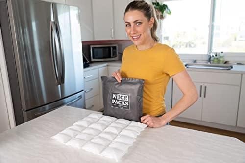 Nice Packs Reusable Dry Ice Packs for Coolers, Lunch Boxes, Frozen Food Shipping - Flexible and Long Lasting (10 Large Sheets)