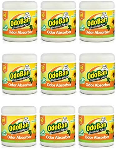OdoBan Solid Odor Absorber Eliminator for Home and Small Spaces, Citrus Scent, 14 Ounces Each, 9-Pack