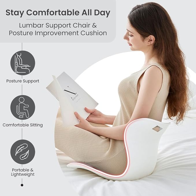 Ergonomic Lumbar Support Cushion, Silver,44.5mm x 410mm x 340mm, Standard Size, for Shoulder and Back Posture, 110-265 lbs Capacity