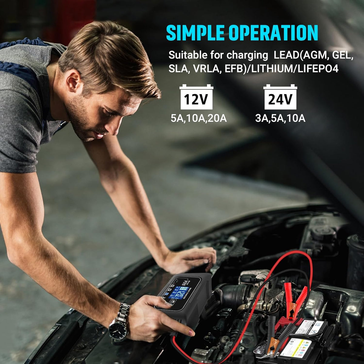 25Amp Lithium Battery Charger, 12V and 24V Lead-Acid (AGM/Gel/SLA) Battery Charger, Battery Maintainer Pulse Repair Charger Trickle Charger Battery Desulfator for Boat, Motorcycle, Golf cart