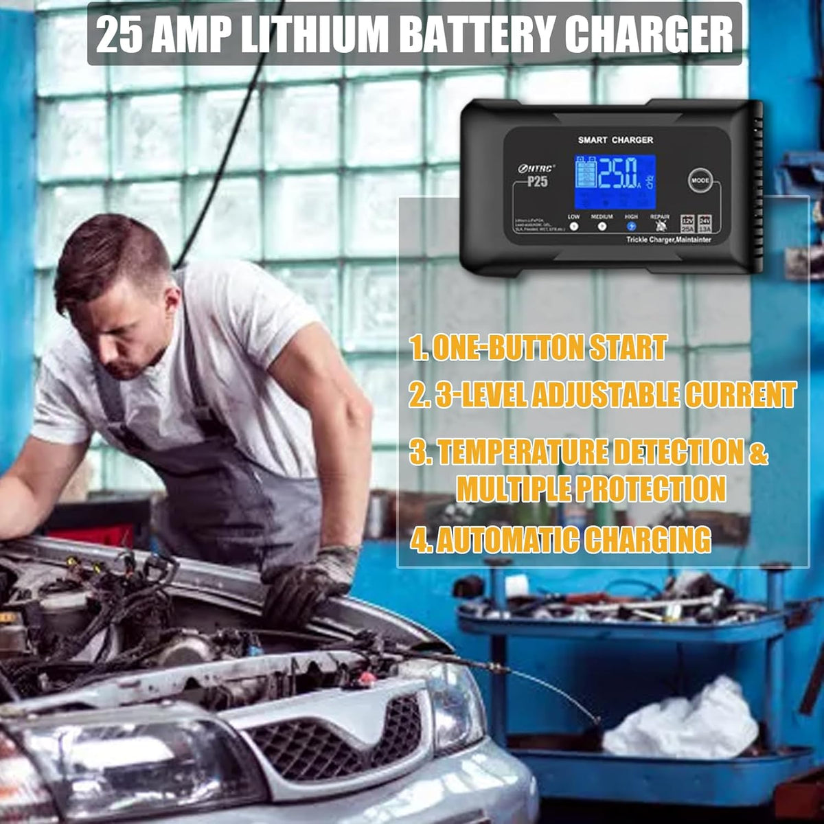 25Amp Lithium Battery Charger, 12V and 24V Lead-Acid (AGM/Gel/SLA) Battery Charger, Battery Maintainer Pulse Repair Charger Trickle Charger Battery Desulfator for Boat, Motorcycle, Golf cart