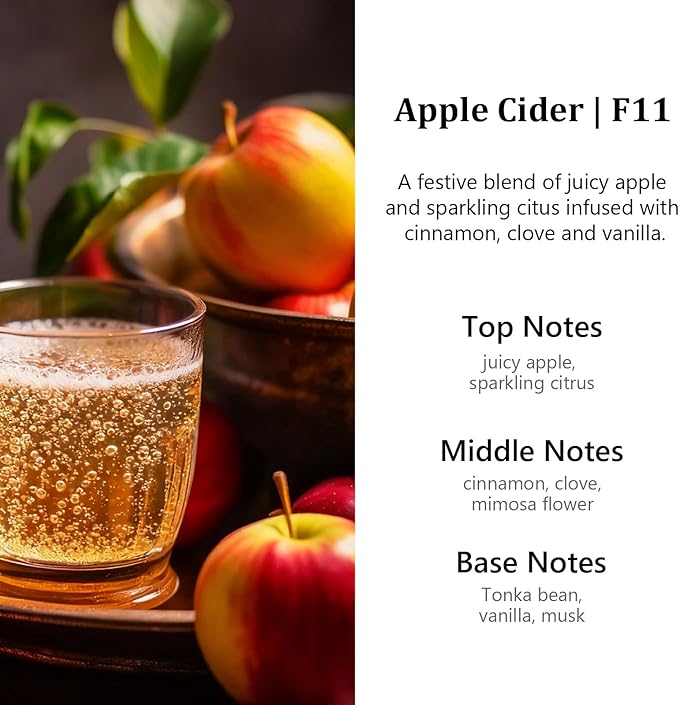 HoogaLife Car Air Freshener Diffuser 2 Pack Hanging Air Freshener Diffuser - Apple Cider Fragrance Oil Air D iffuser for Car, 45+ days Long Lasting Fragrance Made in USA （F11）