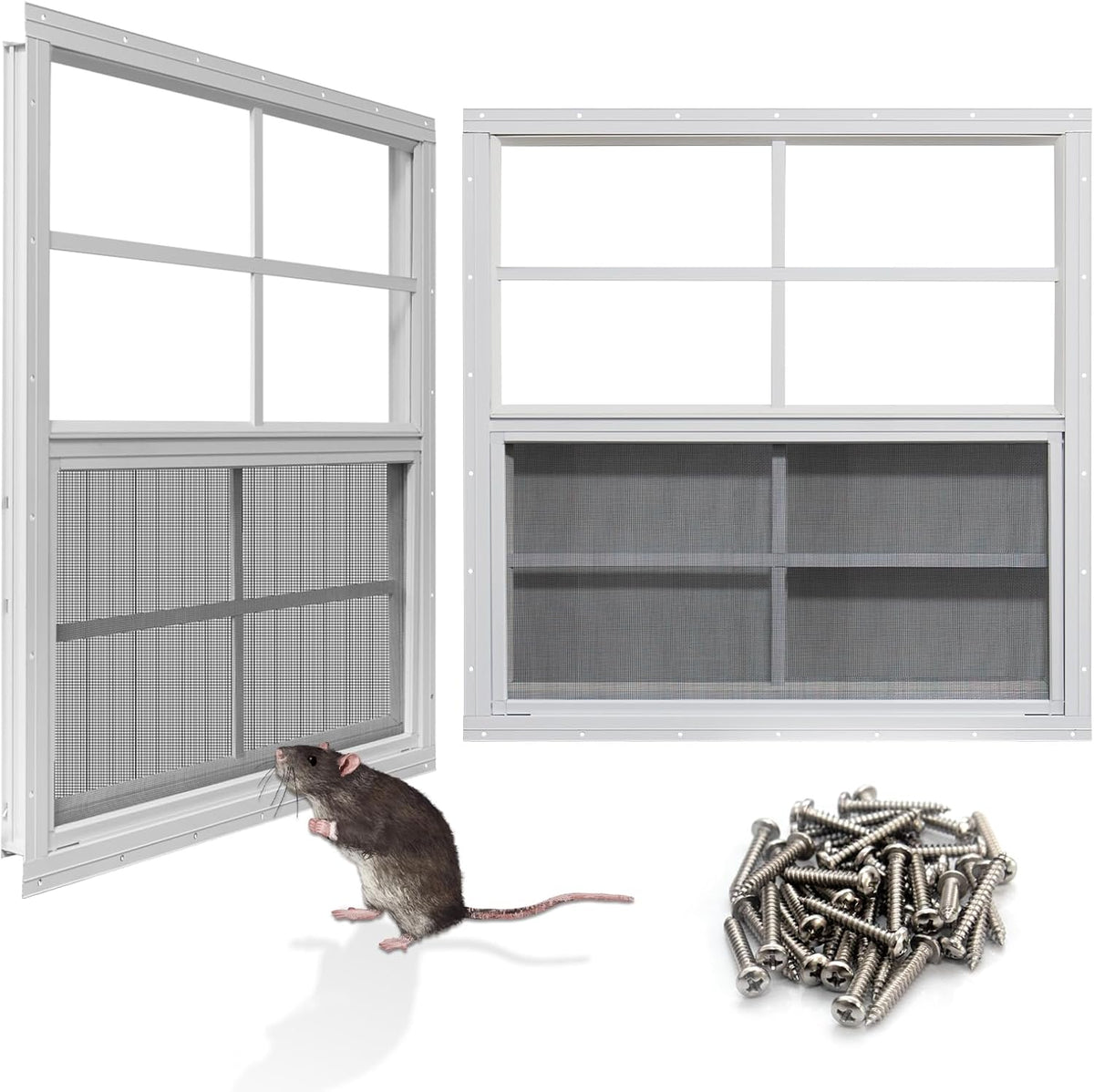 NeatiEase Upgraded Shed Windows 2 Pack, 36" x 36" Windows with Tempered Glass and Stainless Steel Screen for Shed, Chicken Coop, Playhouse, Household, Garage(White)