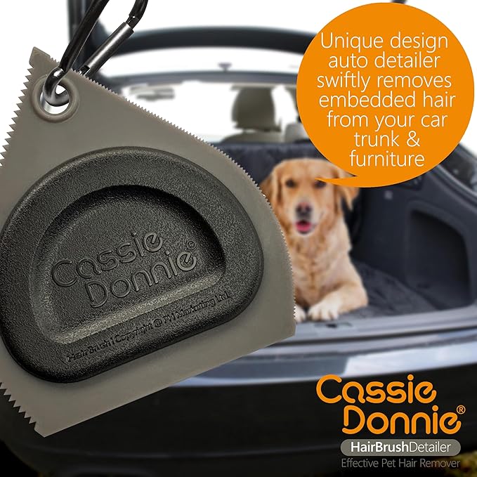 Mini Pet Hair Detailer, Pet Hair Remover for Carpet Couch Bedding Sofa, Car Interior Auto Detailing Supplies, Dog Cat Fur Reusable Brush for Furniture