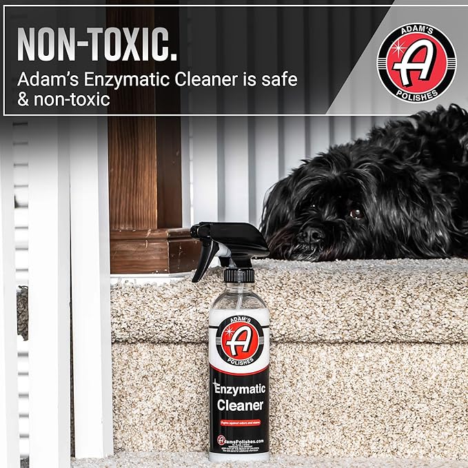 Adam's Polishes Enzymatic Cleaner 16oz - Eliminate Stains & Odors From Extreme Bio-Based Messes - Water-Based, Non-Toxic All Purpose Interior Cleaner - Safe On All Surfaces In Your Home or Vehicle