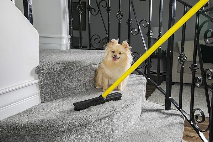 FURemover Original Pet Hair Rubber Broom with Squeegee, with 58” Telescopic Handle for Carpet, Tile and Hardwood and Handheld Lint Brush Combo