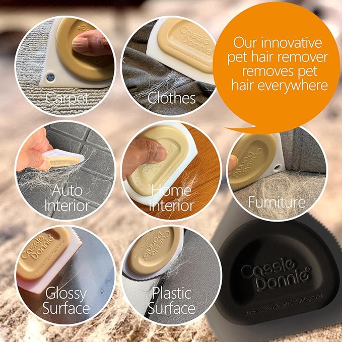 Mini Pet Hair Detailer, Pet Hair Remover for Carpet Couch Bedding Sofa, Car Interior Auto Detailing Supplies, Dog Cat Fur Reusable Brush for Furniture