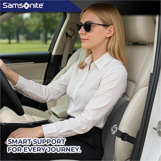 Samsonite Ergonomic Lumbar Support Pillow for Office Chair and Car Seat - Memory Foam Back Support Lumbar Pillow Premium Cushion Chair Support for Lower Back Pain Relief and Versatile Use (Charcoal)