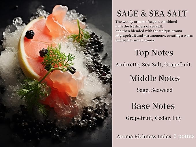 2Pack Sage and Sea Salt Scented Automotive Air Freshener Set, Car Accessories Decoration Hanging Scented Car Diffuser for Men Women Best Gifts