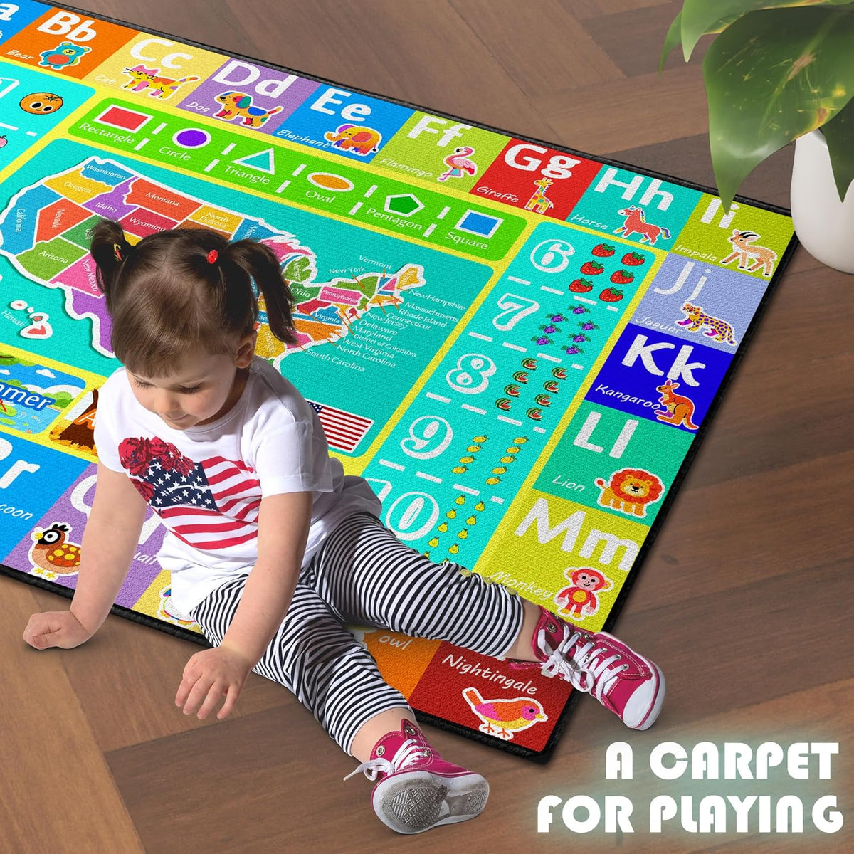 ABC Rug for Kids Playroom, 5'x 6'6" Washable Classroom Area Rugs, Educational Learning Mat with Alphabet Numbers Animals Seasons Shapes for Classroom Preschool Playroom