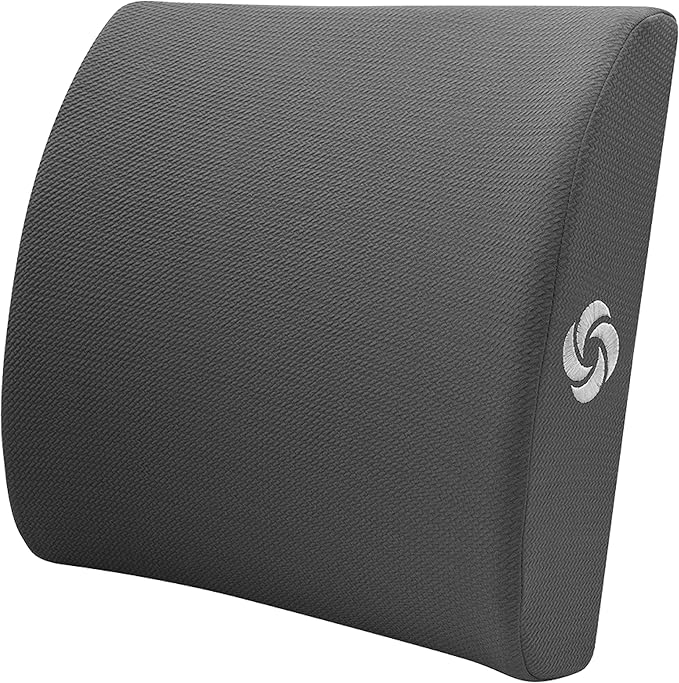 Samsonite Ergonomic Lumbar Support Pillow for Office Chair and Car Seat - Memory Foam Back Support Lumbar Pillow Premium Cushion Chair Support for Lower Back Pain Relief and Versatile Use (Charcoal)